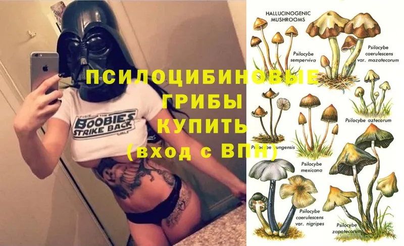 Псилоцибиновые грибы MAGIC MUSHROOMS  сайты даркнета формула  Ленинск 